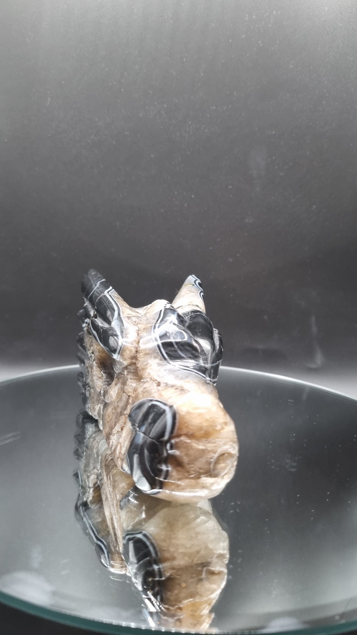 The Call of Umbraxis, Guardian of Shadows - Black Agate Dragon