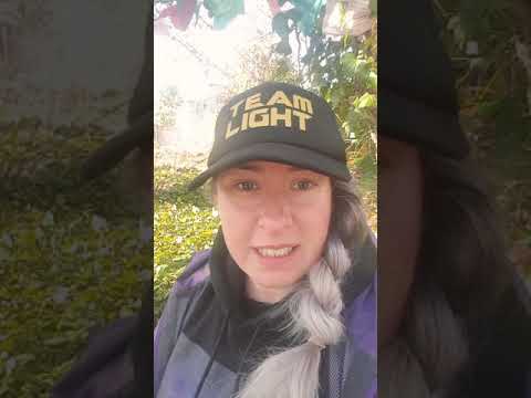 Dragon Cleansing Empowerment - Attunement which is sent distantly -