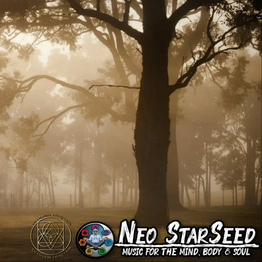 Grounding Meditation in Collaboration with Neo Starseed